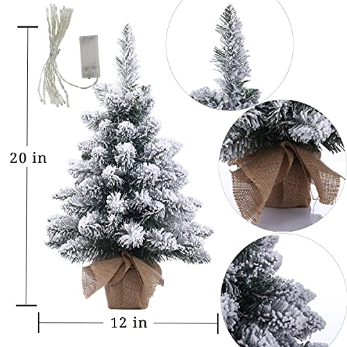 20 Inch Pre-Lit Artificial Mini Christmas Tree with 40 LED Lights G20238