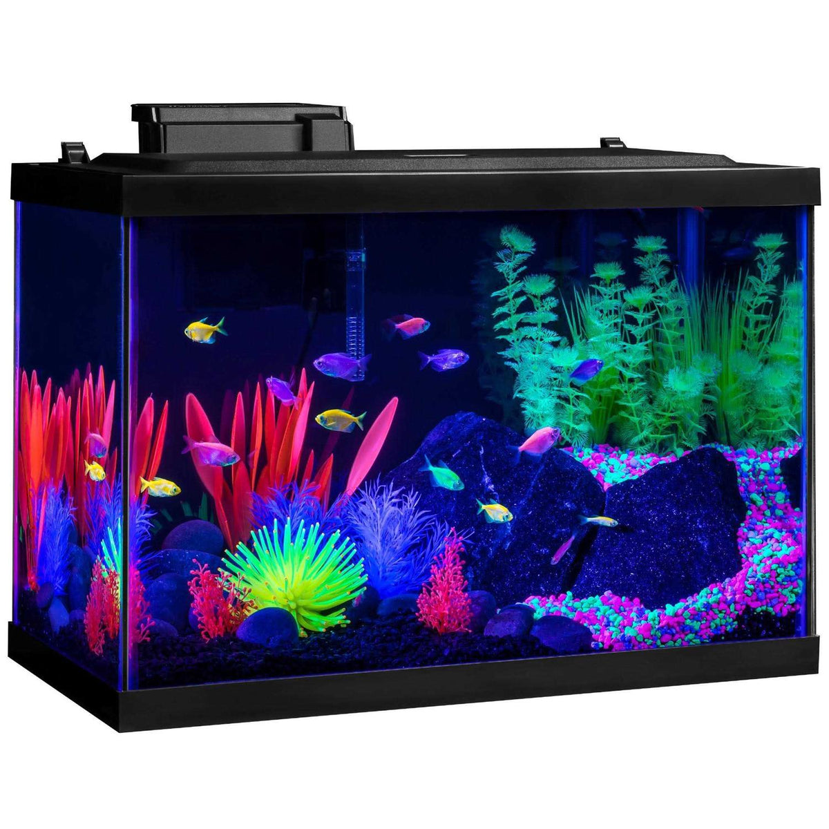 20 Gallon Aquarium Kit with LED Lights Decor Heater and Filter L59855