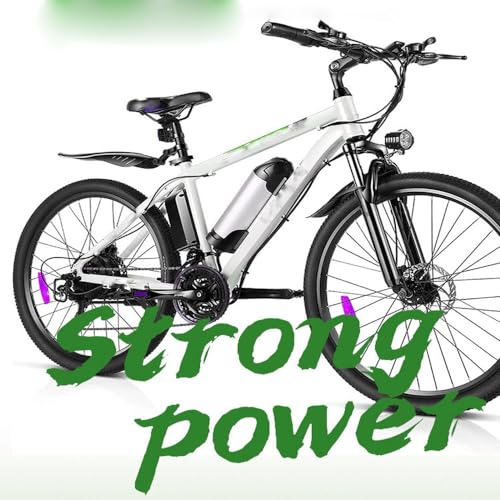 36V 8Ah 10Ah 12Ah 13Ah Lithium E-Bike Battery with Standard Charger F3006