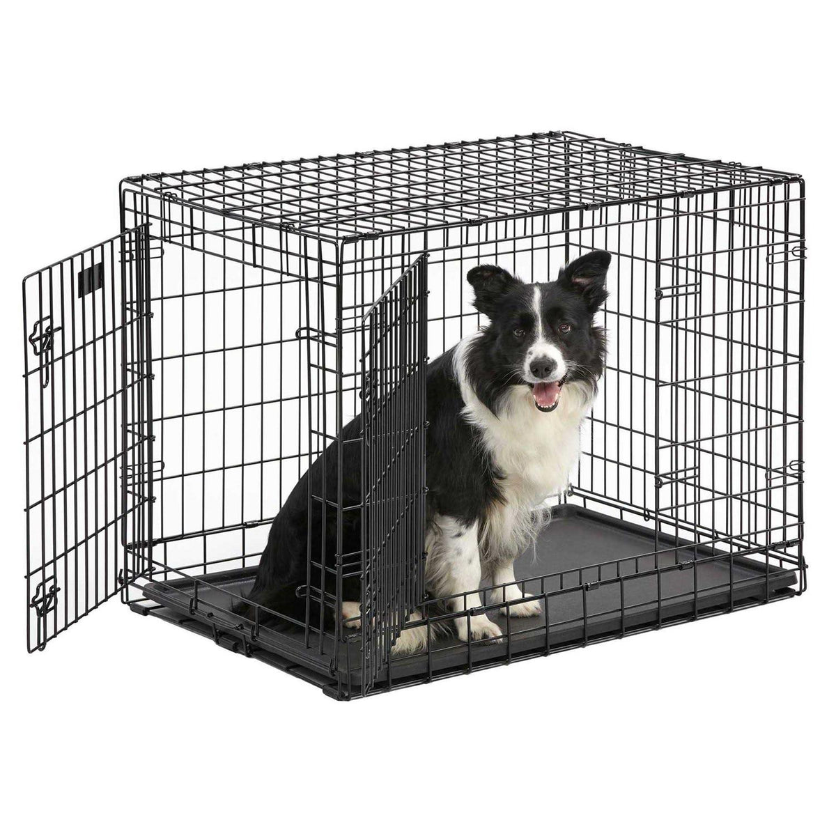 Double Door Dog Crate Y161756