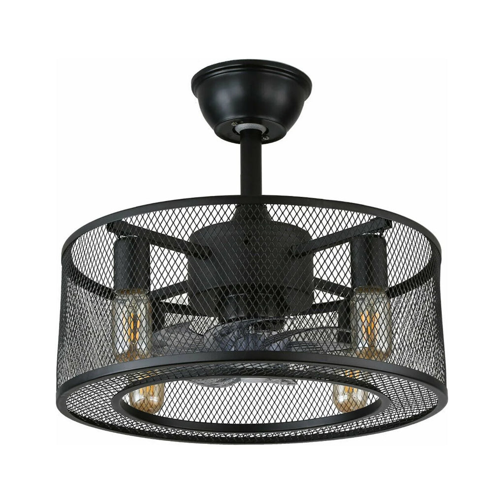 Caged Ceiling Fan Light with Remote R253895