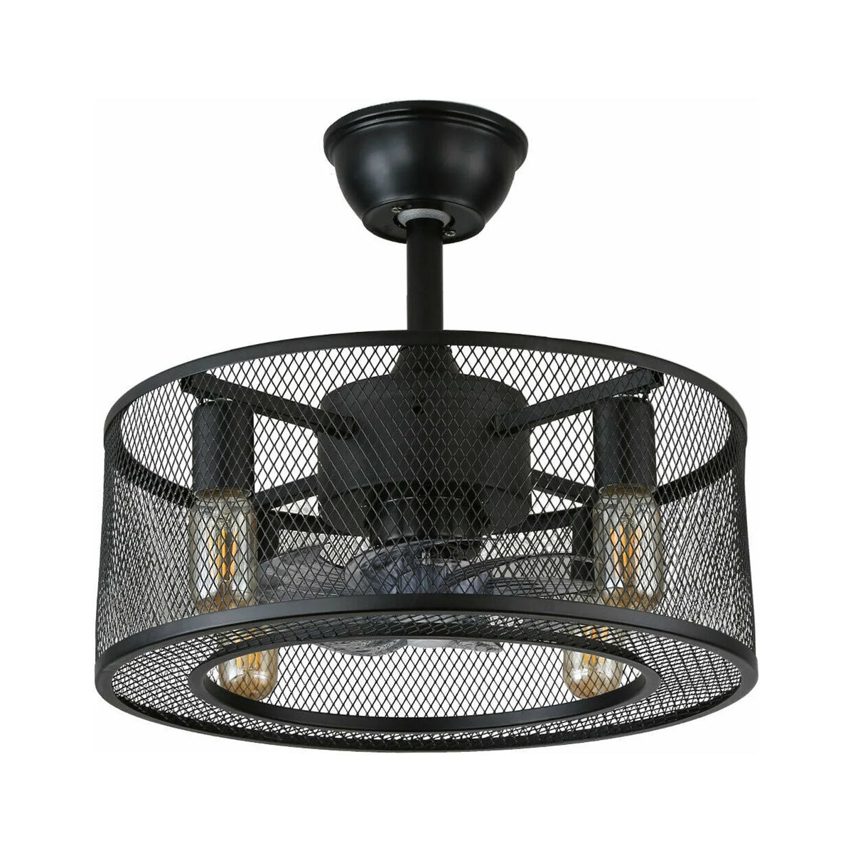 Caged Ceiling Fan Light with Remote R253895