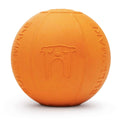 Rubber Chew Toy for Dogs G61286