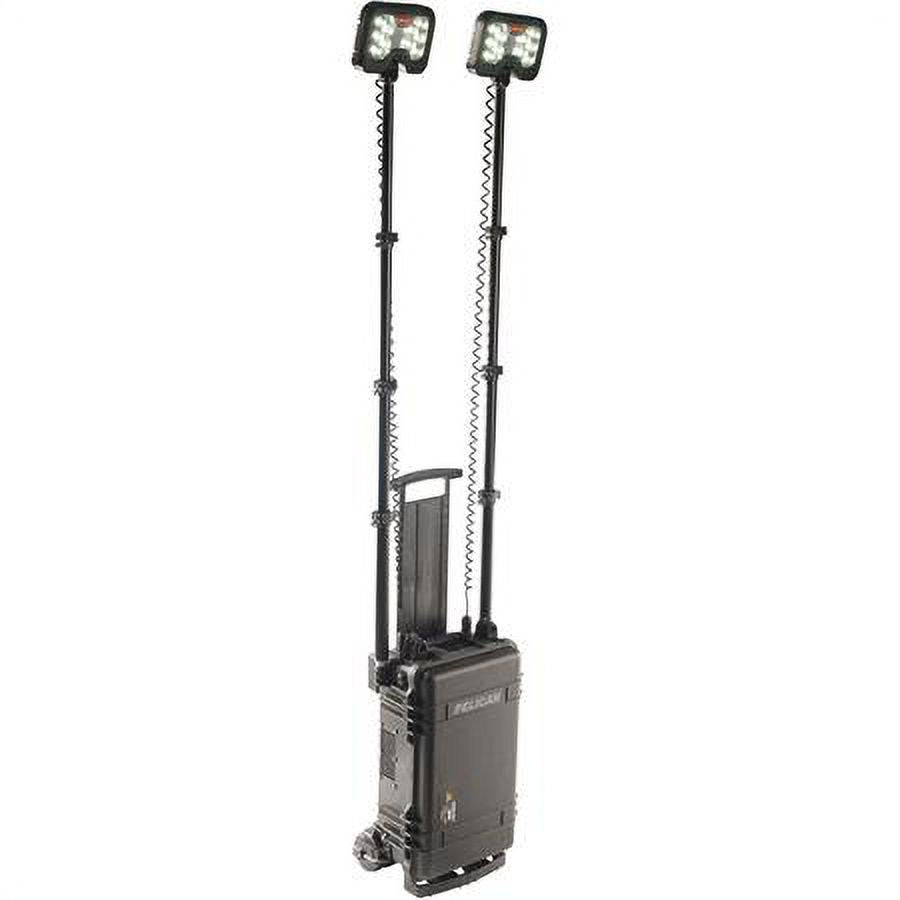 Black Remote Area Lighting System, 2 Lamp Heads G5594