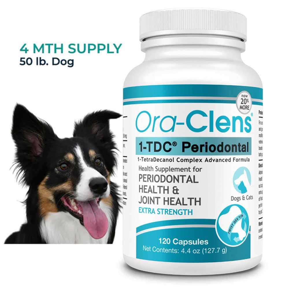 Dog & Cat Supplement Z32306