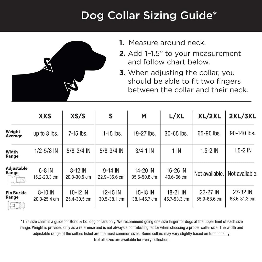 Bling Dog Collar M6648