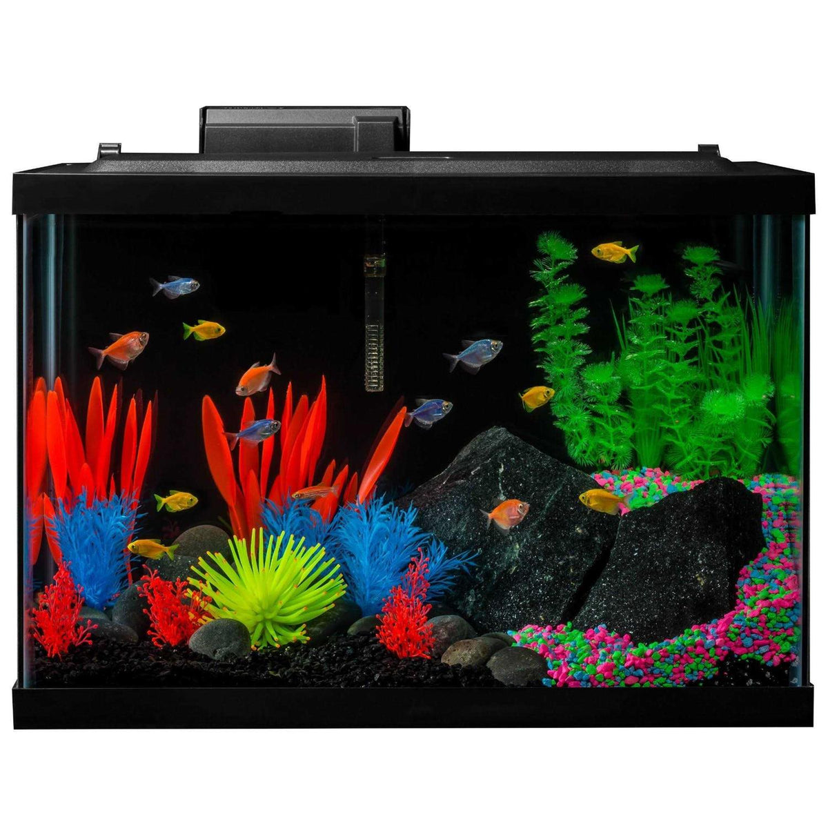 20 Gallon Aquarium Kit with LED Lights Decor Heater and Filter L59855