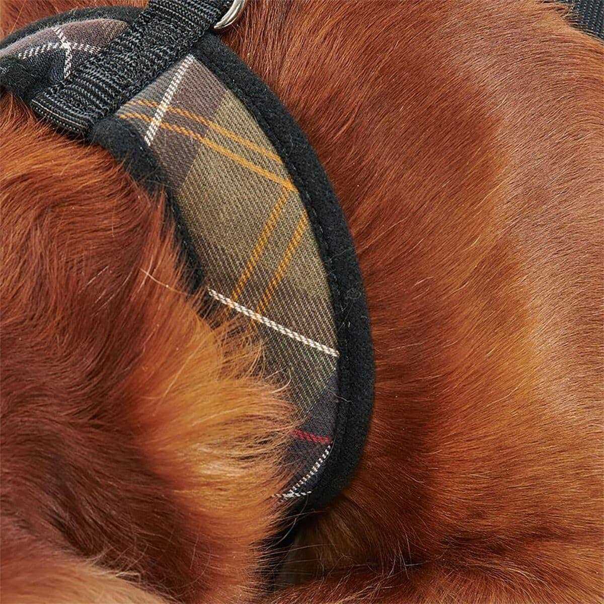 Tartan Dog Harness G24524