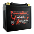 Lithium LiFePO4 Battery Q11515