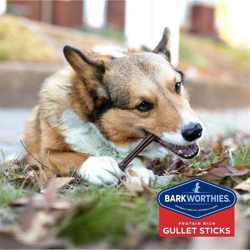 Odor Free Bully E75275