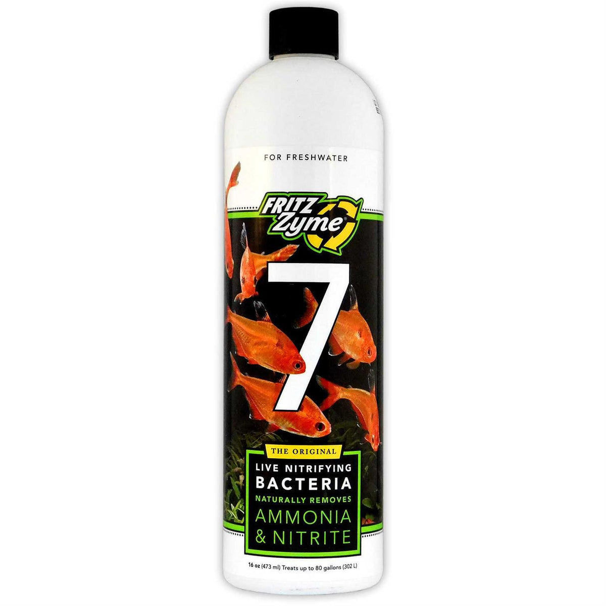 Freshwater Nitrifying Bacteria L56257