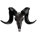Genuine Ram Skull with Horns Q18570