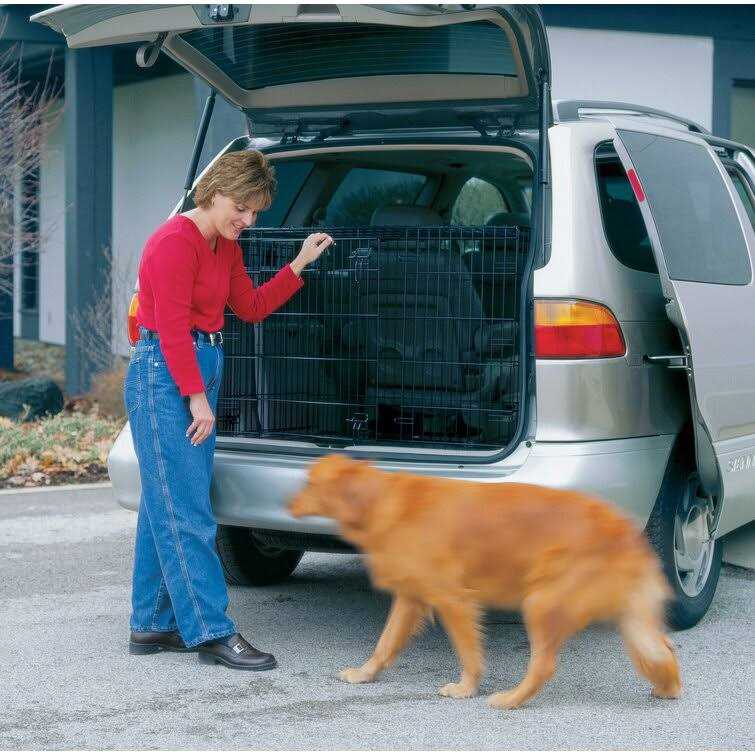 Double Door Dog Crate Y161756