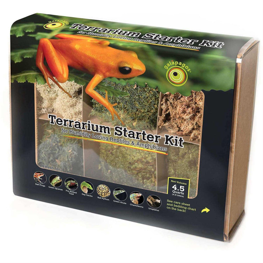 Terrarium Starter Kit J4986