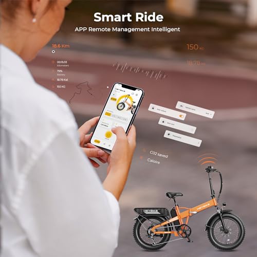 Foldable Fat Tire Electric Bike with 48V 12.5Ah Removable Battery G94383