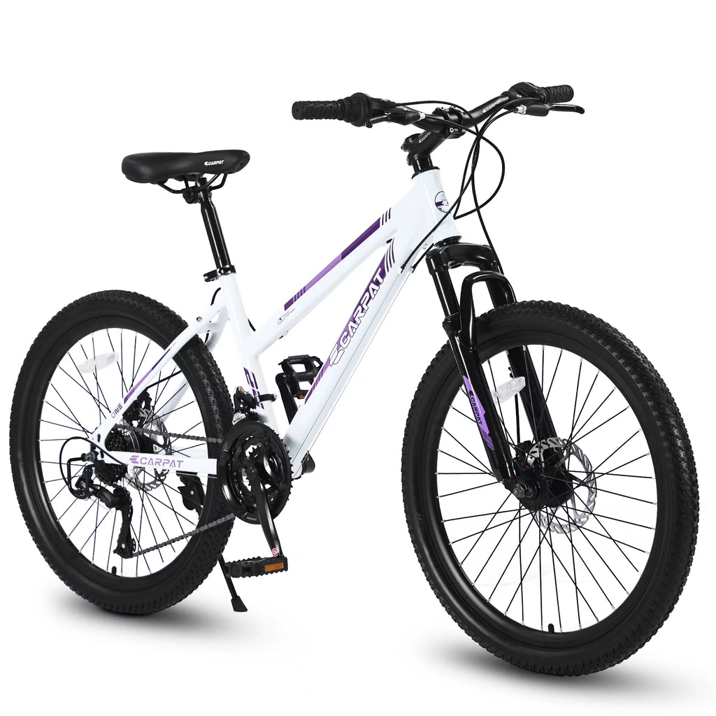 24 inch Mountain Bike with 21 Speeds Gear and Dual Disc Brakes G956