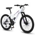 24 inch Mountain Bike with 21 Speeds Gear and Dual Disc Brakes G956