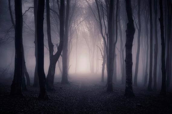 Dark Woods Candle H238083