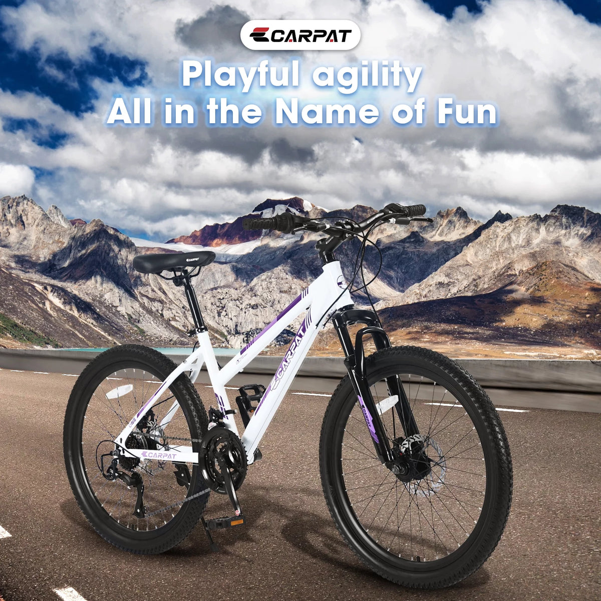24 inch Mountain Bike with 21 Speeds Gear and Dual Disc Brakes G956
