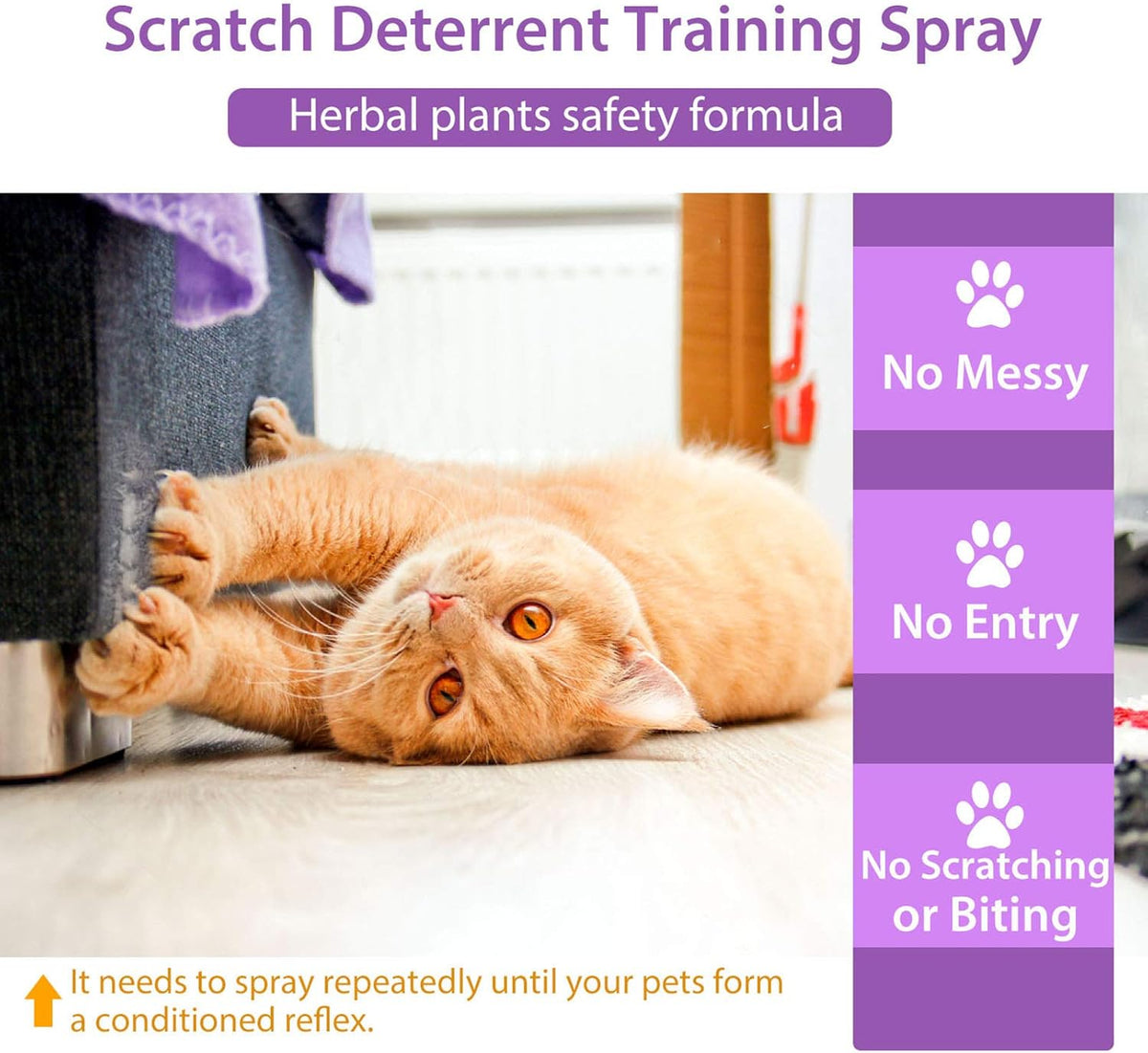 120ML Natural Cat Deterrent Spray Y7235