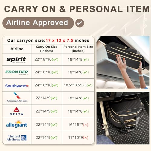 Black Gold Carry On Rolling Suitcase N71201