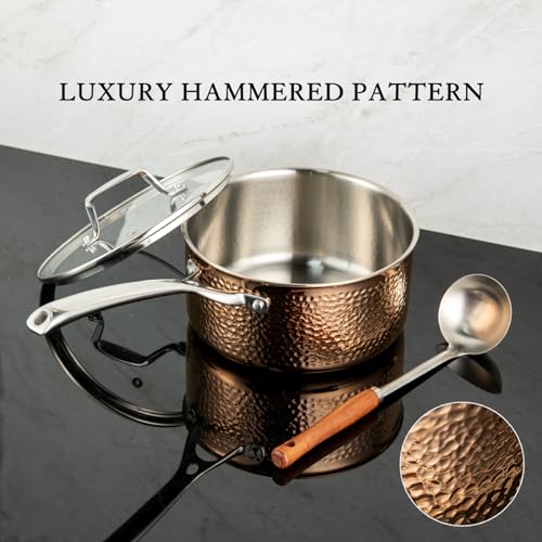 5 Piece Heavy Duty Stainless Steel Cookware Set T19036