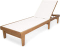 Outdoor Mesh Chaise Lounge with Acacia Wood Frame W462017
