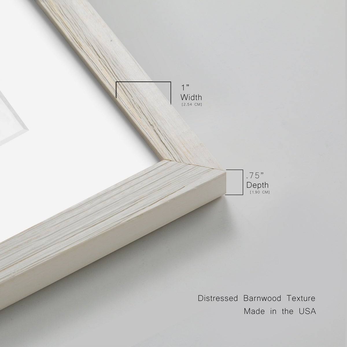 Framed Print - 23X32 - Grey B9653
