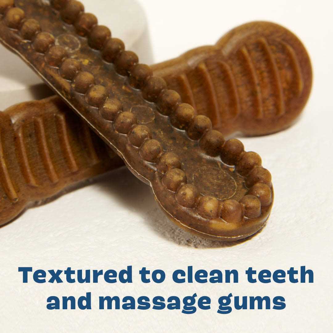 Long Lasting Dog Dental Chews C23343