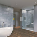 Chrome Frameless Hinged Shower Door C235420