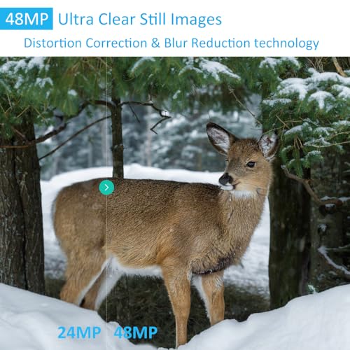 48MP 1296p Night Vision Waterproof Trail Camera H31123