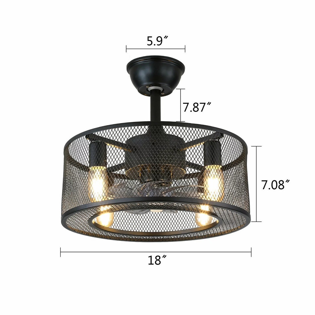 Caged Ceiling Fan Light with Remote R253895