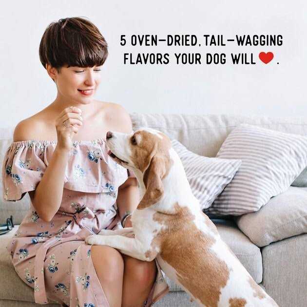 Chicken Jerky Dog Treats T814