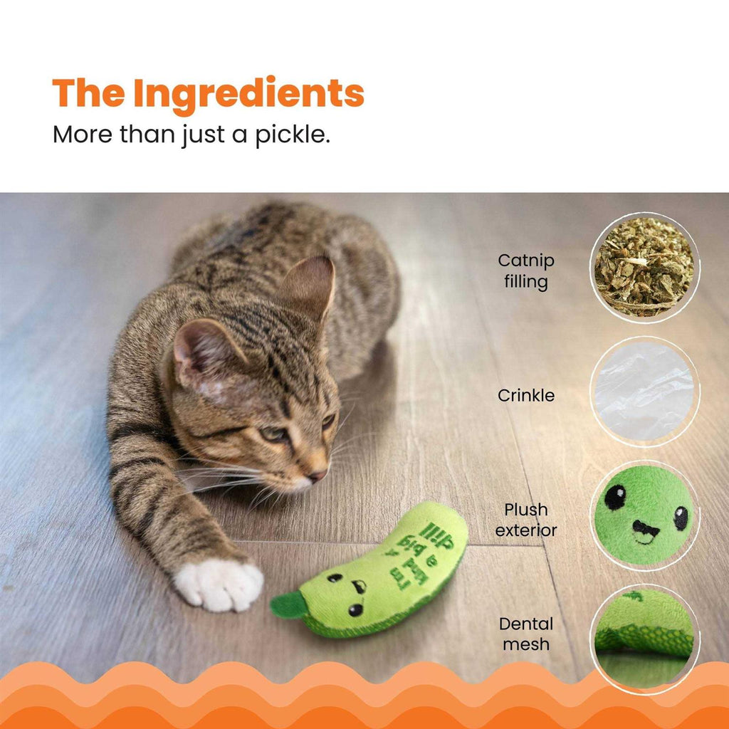 Crunchy Catnip Cat Toy P95733