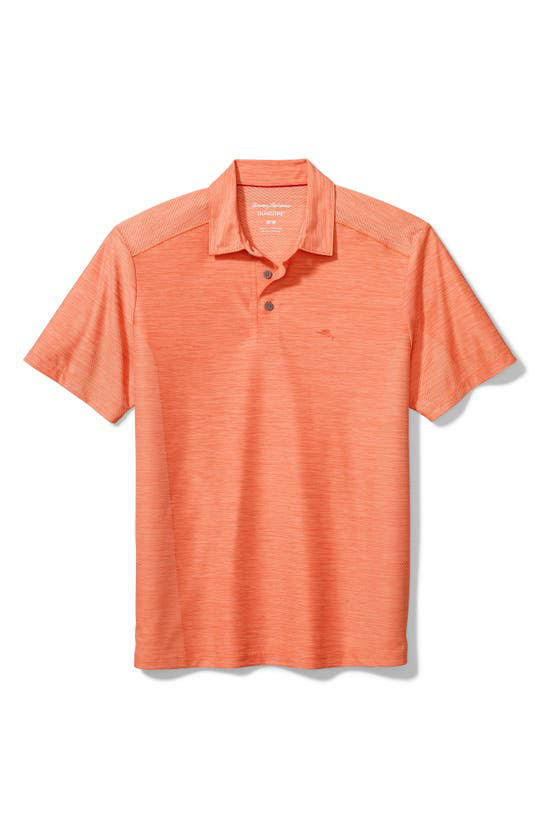 Peach Parrot Classic Fit Polo J3460