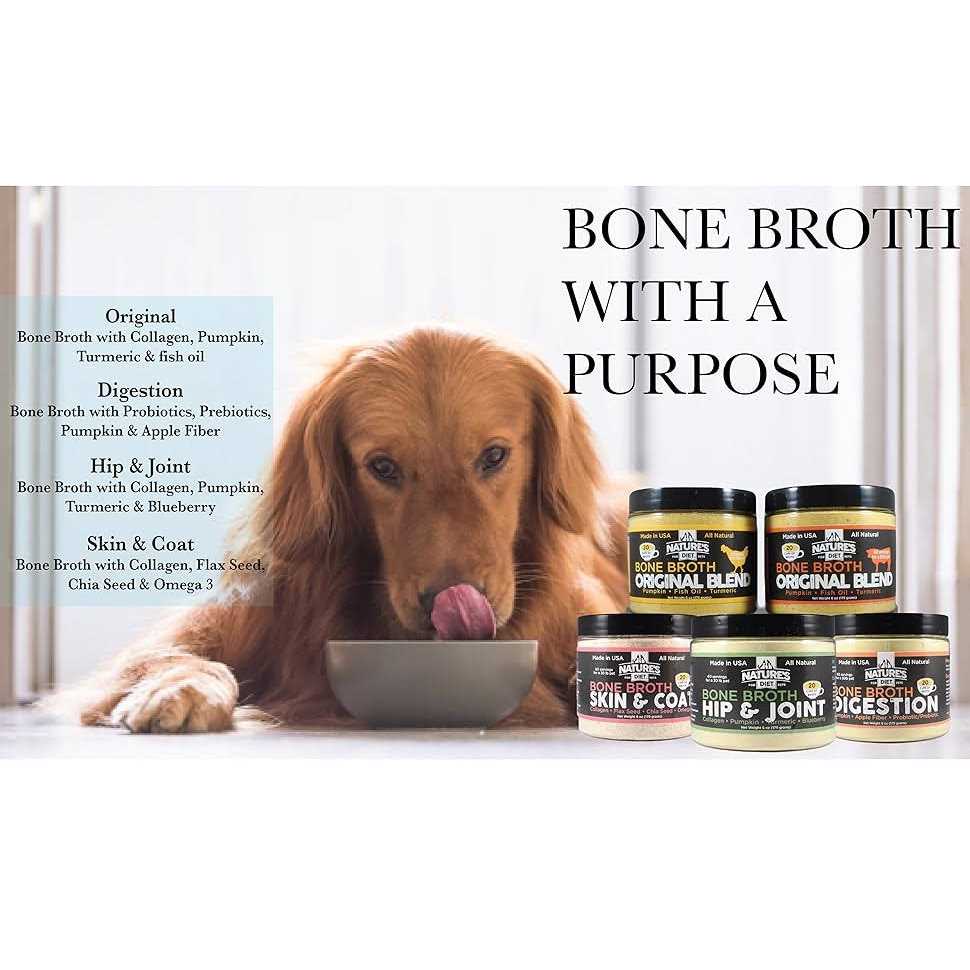 Pet Bone Broth Protein Powder V539364