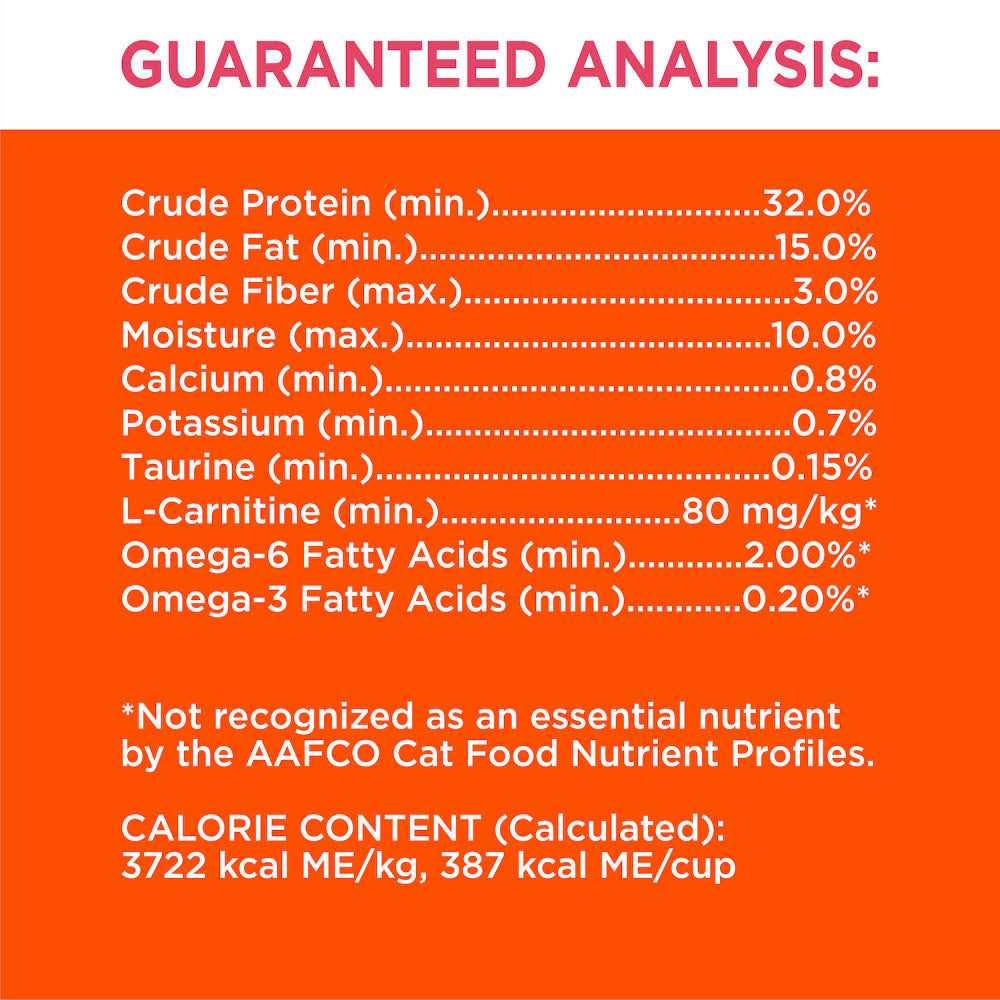 Salmon Adult Dry Cat Food B744