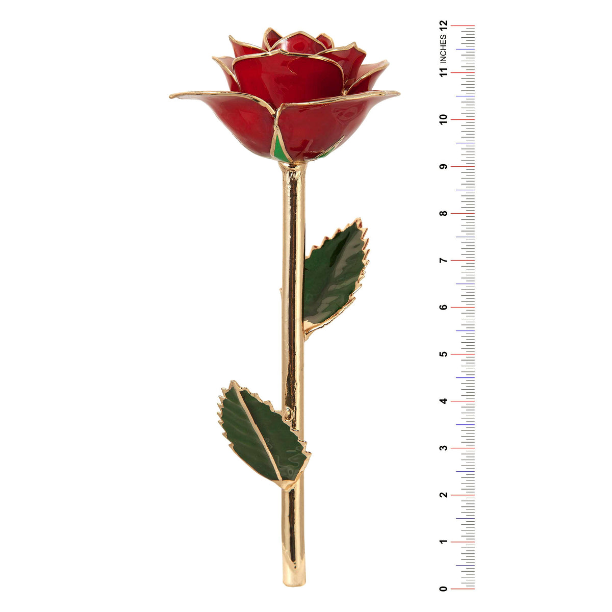 24K Gold Dipped Laquered Rose G7888