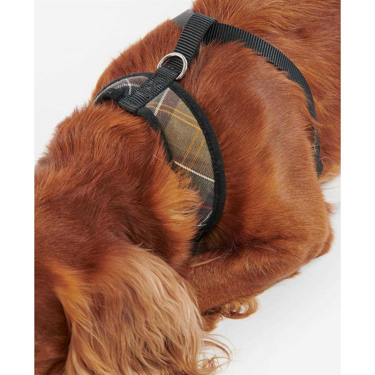 Tartan Dog Harness G24524