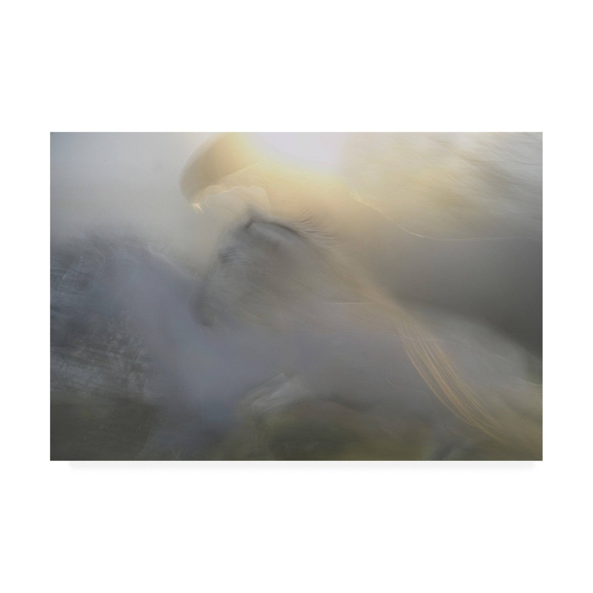 Canvas Art - 22x32 I89974