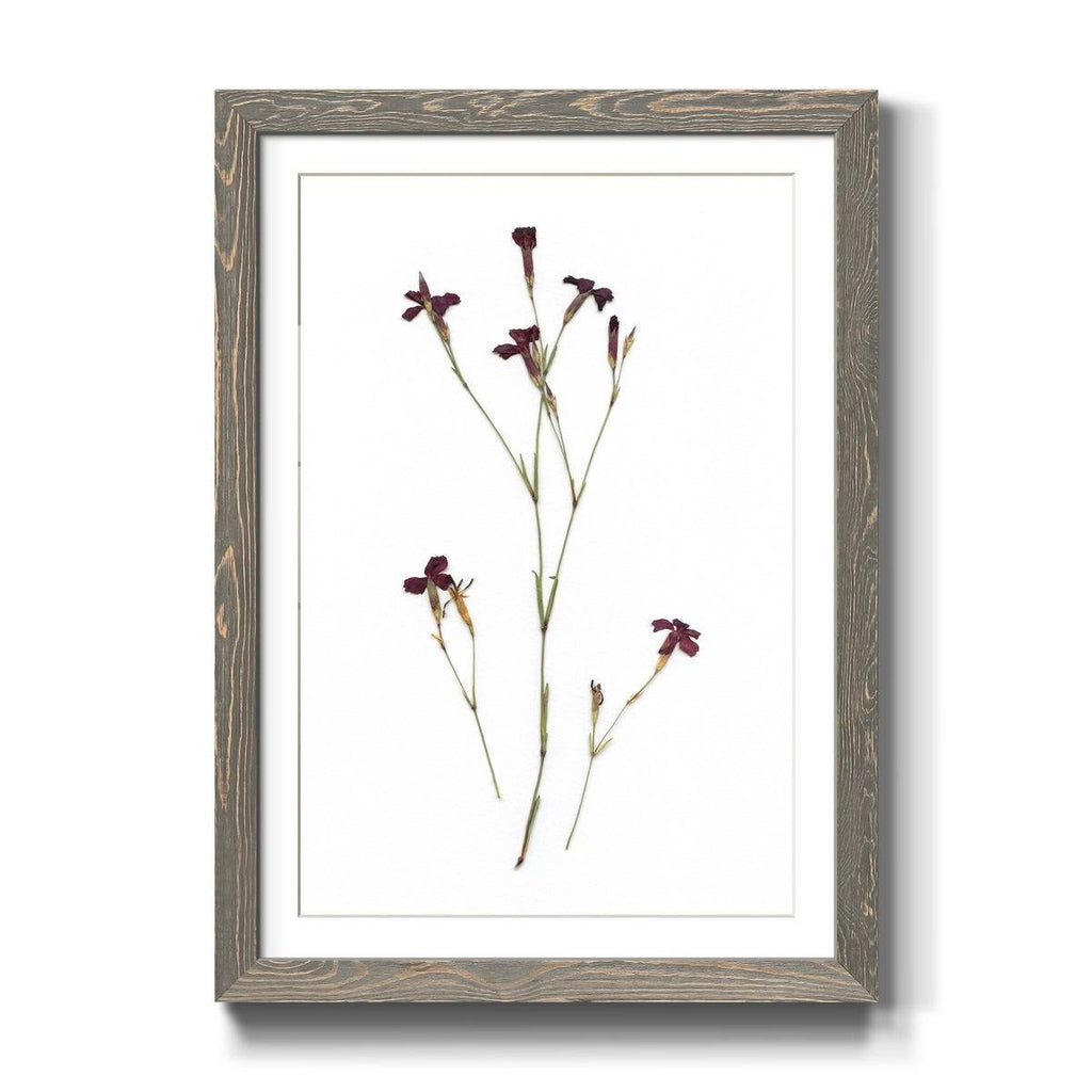 Framed Print - 23X32 - Grey B9653