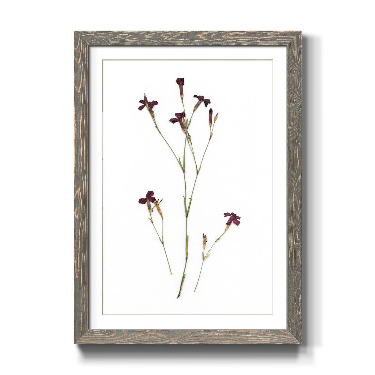 Framed Print - 23X32 - Grey B9653