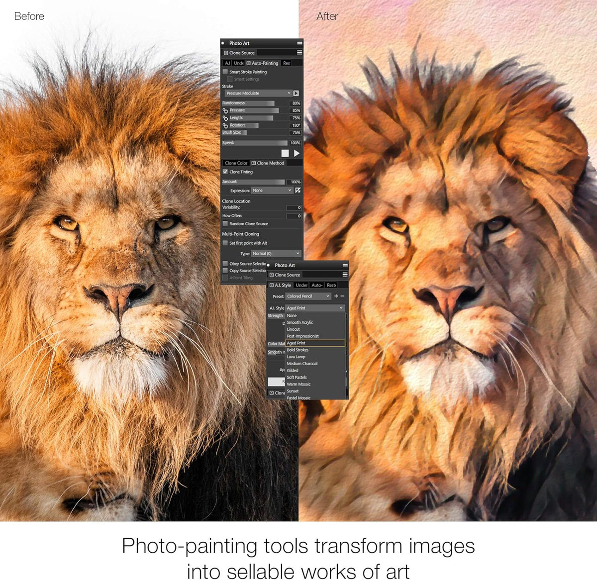 Painter 2021 Upgrade Digital Painting Software [PC/Mac Keycard] J30525