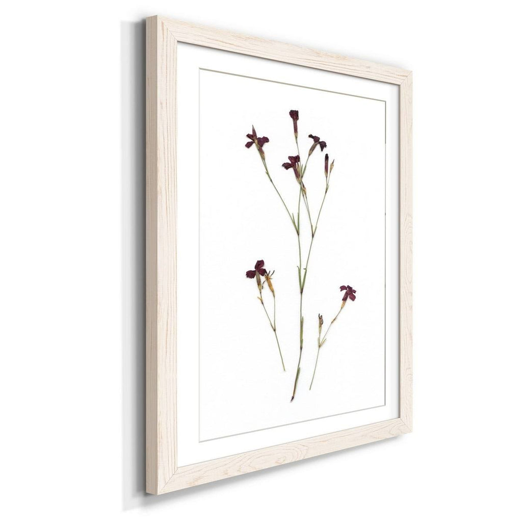 Framed Print - 23X32 - Grey B9653