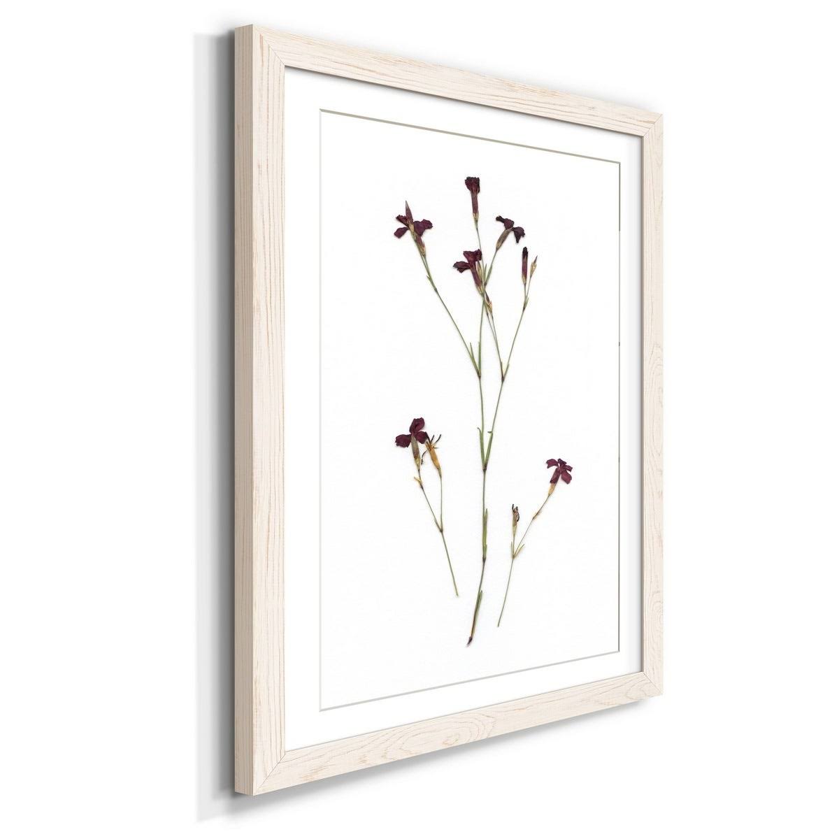 Framed Print - 23X32 - Grey B9653