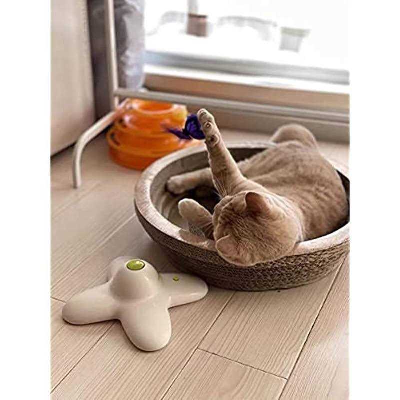 Interactive Cat Butterfly Toy with Two Replacements R378860