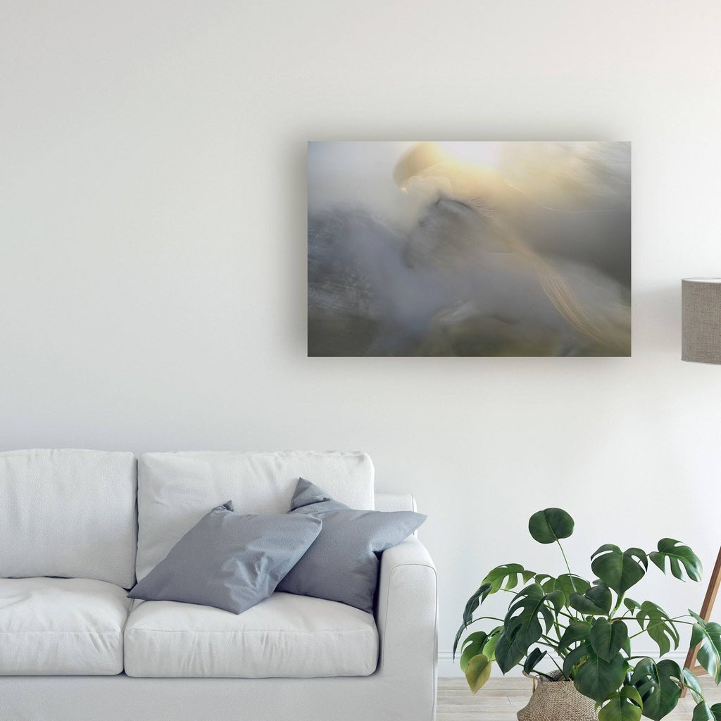 Canvas Art - 22x32 I89974