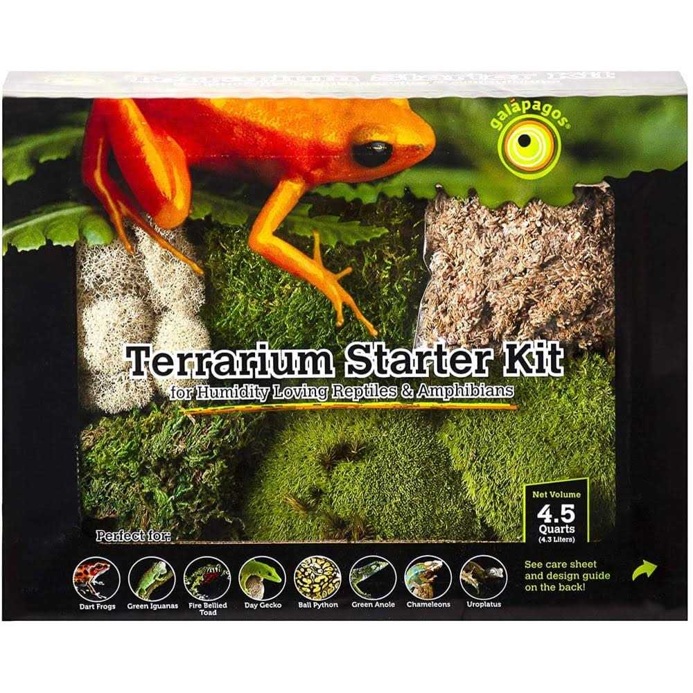Terrarium Starter Kit J4986