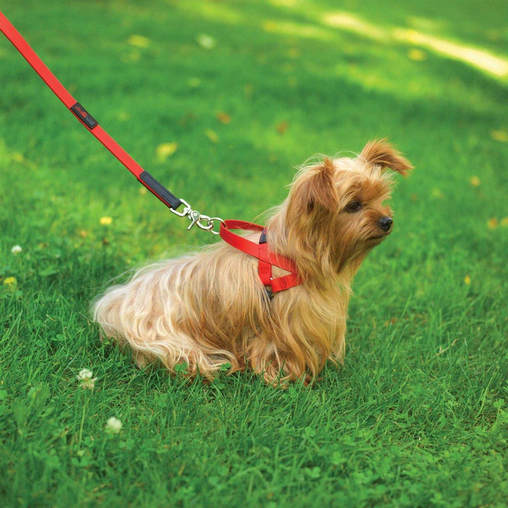 Pet Harness R994