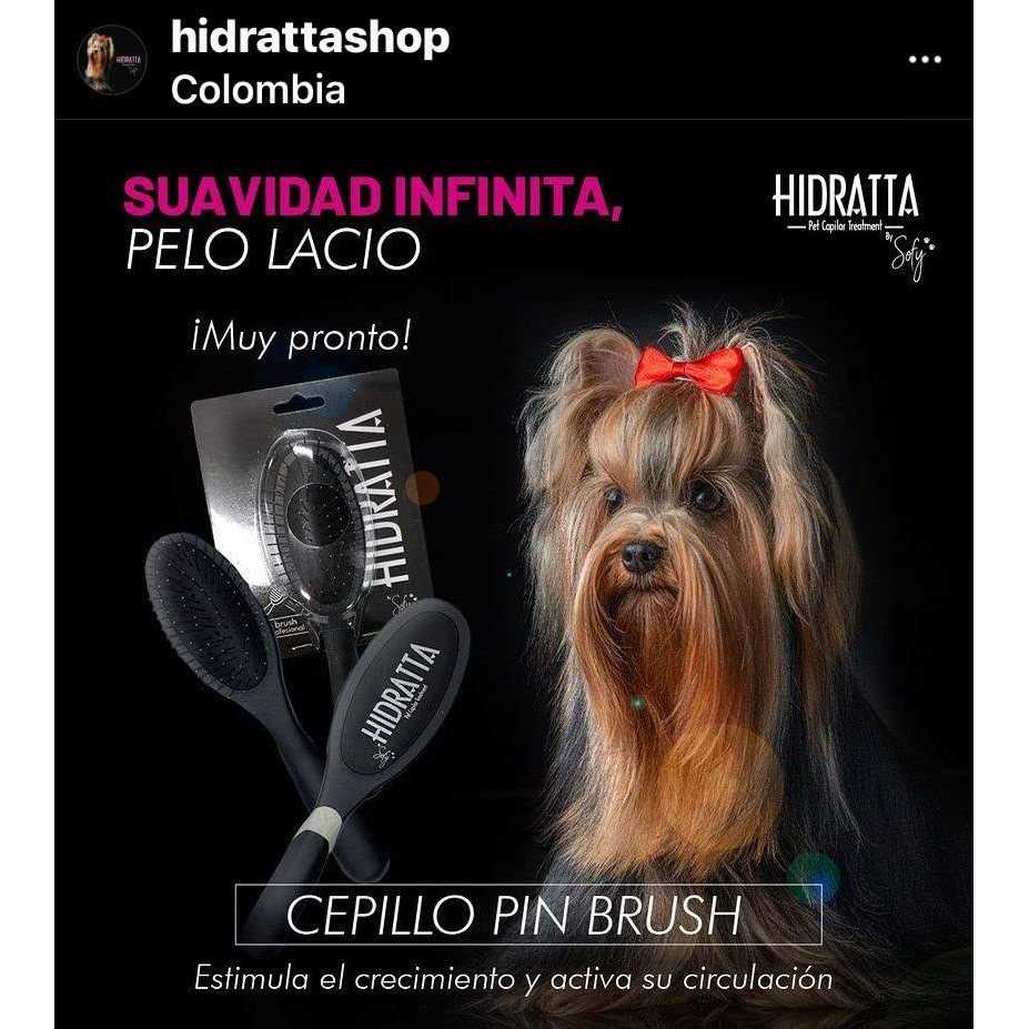 Pet Hairbrush T36186